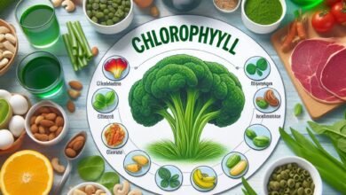 الكلوروفيل